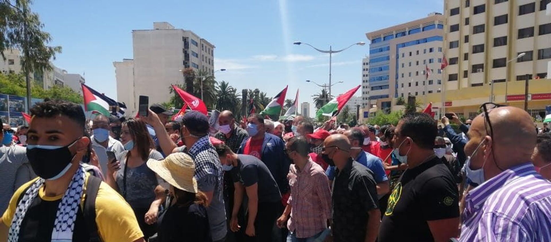 مسيرة وطنية لنصرة فلسطين ومناهضة للتطبيع  في تونس - سبوتنيك عربي, 1920, 19.05.2021