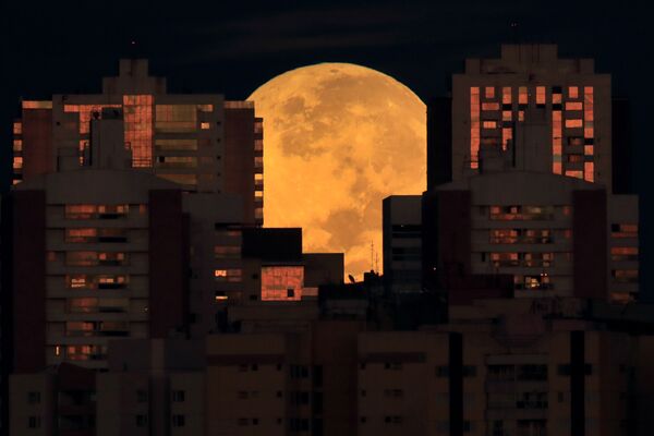 خسوف كلي للقمر العملاق في البرازيل، البرازيل 26 مايو 2021 - سبوتنيك عربي