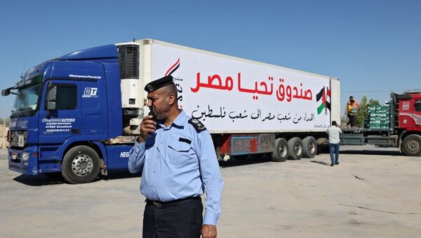مساعدات صندوق تحيا مصر المرسلة إلى غزة عقب العدوان الإسرائيلي، قطاع غزة، فلسطين 23 مايو 2021 - سبوتنيك عربي