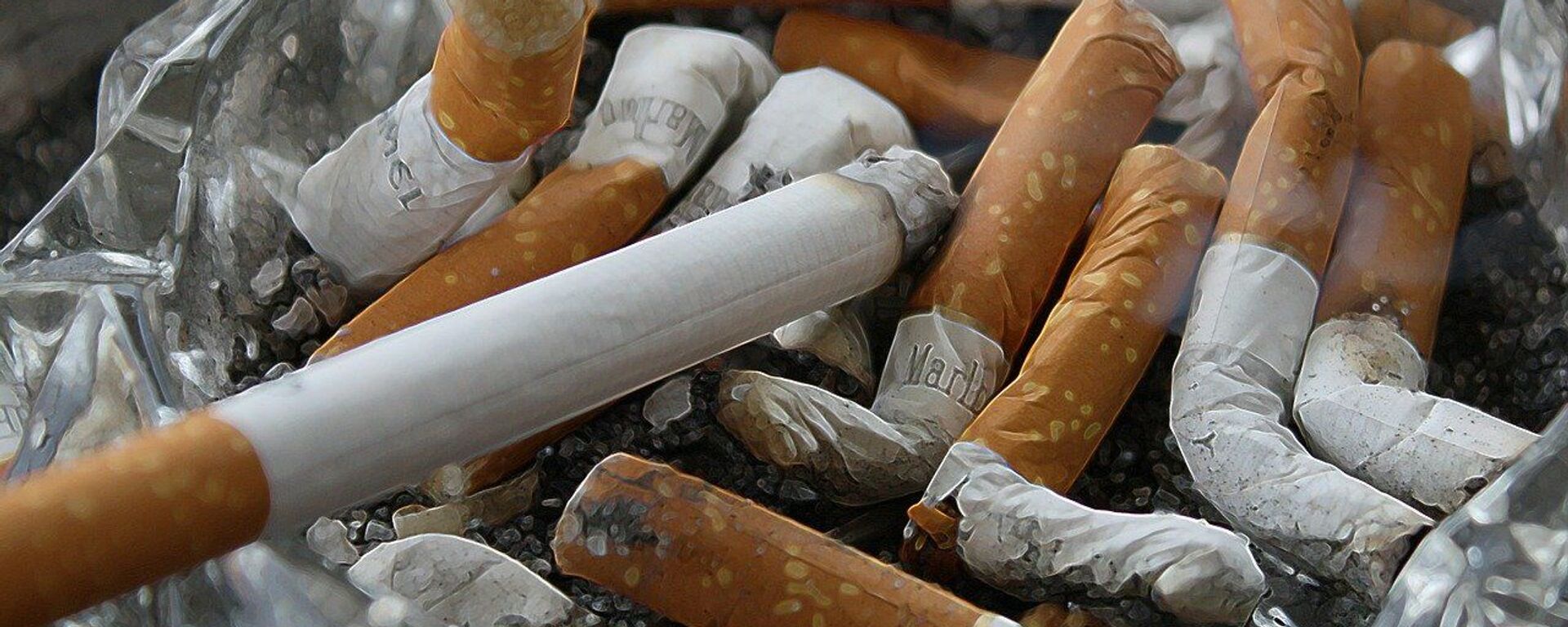 التدخين  - سبوتنيك عربي, 1920, 23.05.2022