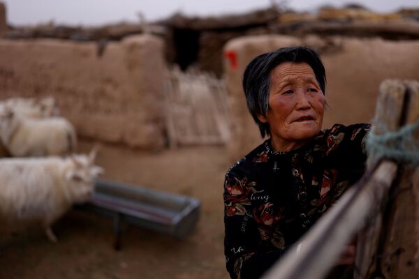 راعية دينغ ينهوا، 69 عامًا ، تفتح بوابة حظيرة للأغنام والماعز في منزلها في صحراء غوبي في مقاطعة مينكين، وووي، مقاطعة غانسو، الصين، 18 أبريل 2021 - سبوتنيك عربي