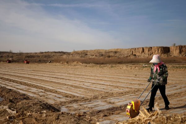 عامل يستخدم زارعًا لزرع بذور الذرة على أرض وانغ ينجي في قرية بالقرب من حافة صحراء غوبي على مشارف وووي، مقاطعة غانسو، الصين، 14 أبريل 2021 - سبوتنيك عربي