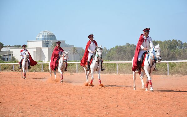 صور من مسابقة الخيول العربية الأصيلة في سوريا في اللاذقية - سبوتنيك عربي