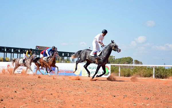 صور من مسابقة الخيول العربية الأصيلة في سوريا في اللاذقية - سبوتنيك عربي