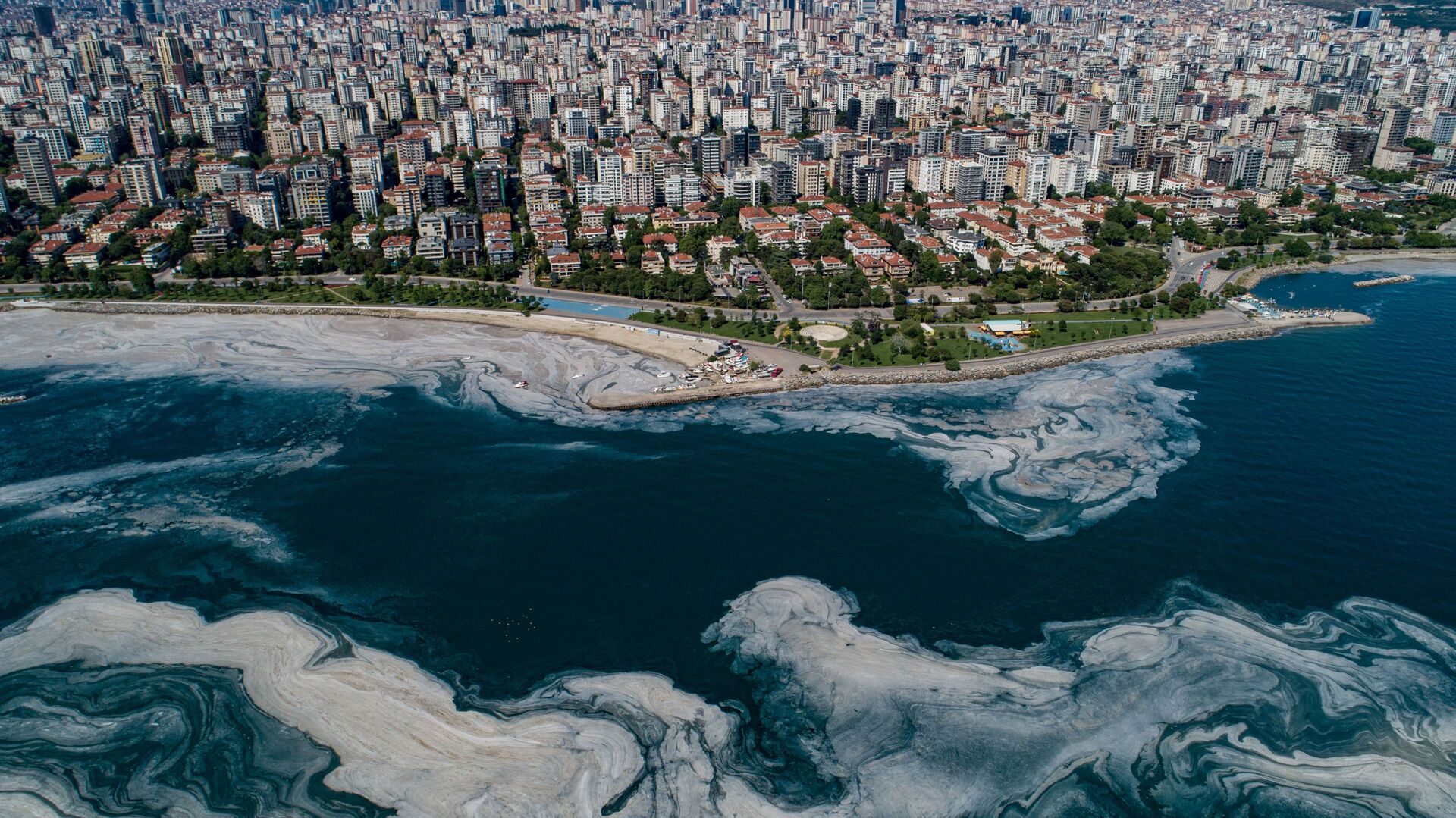 لعاب بحر مرمرة في اسطنبول، تركيا 6 يونيو 2021 - سبوتنيك عربي, 1920, 11.04.2022