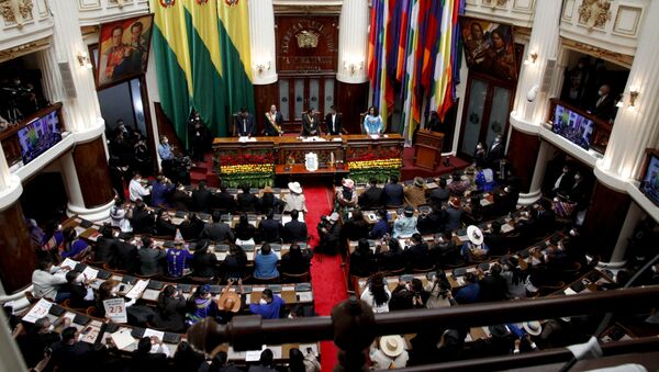 برلمان بوليفيا - سبوتنيك عربي