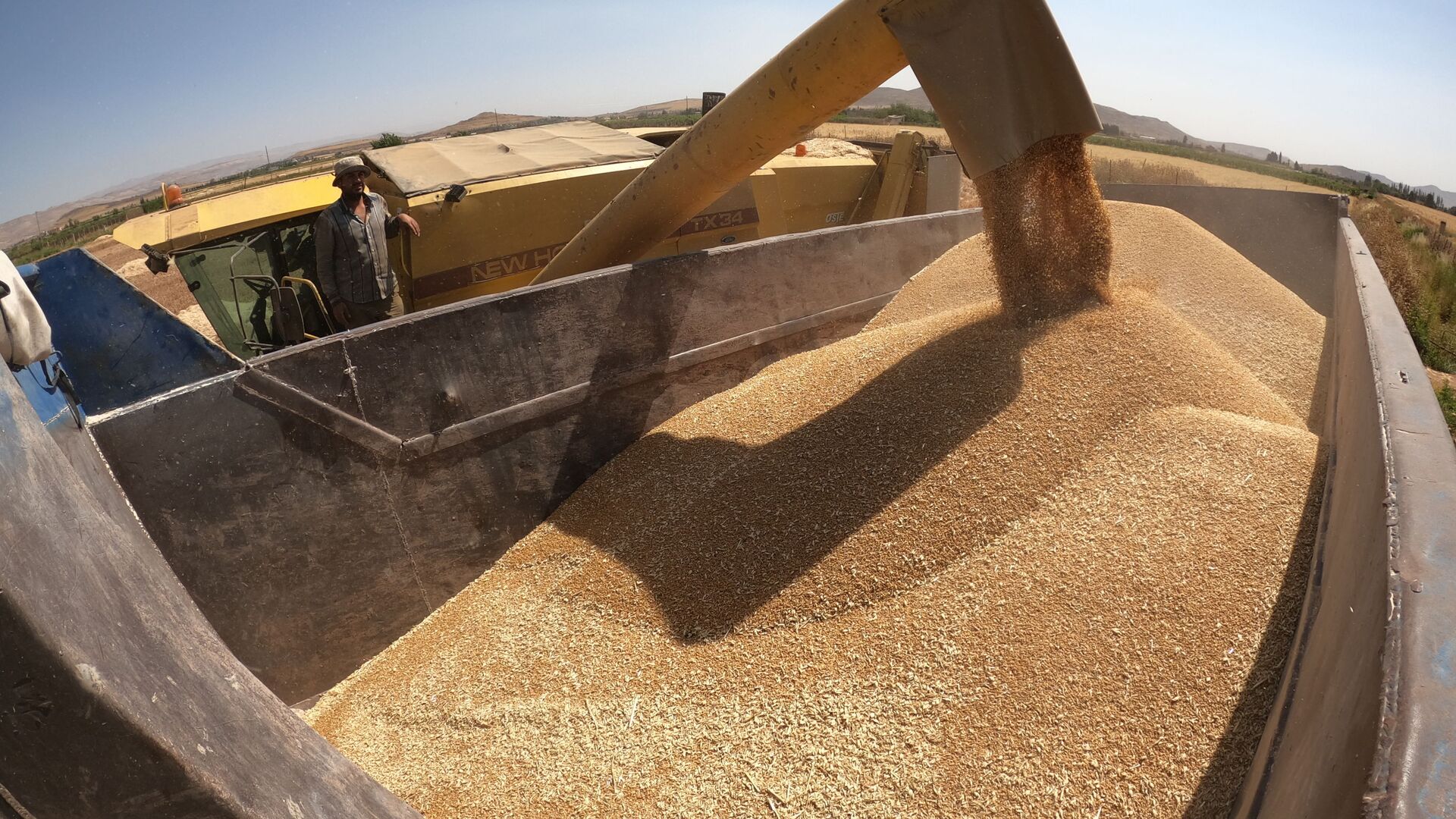 الحصاد بدأ مجددا.. هل تعود سوريا إلى تصدير القمح؟ - سبوتنيك عربي, 1920, 20.05.2022