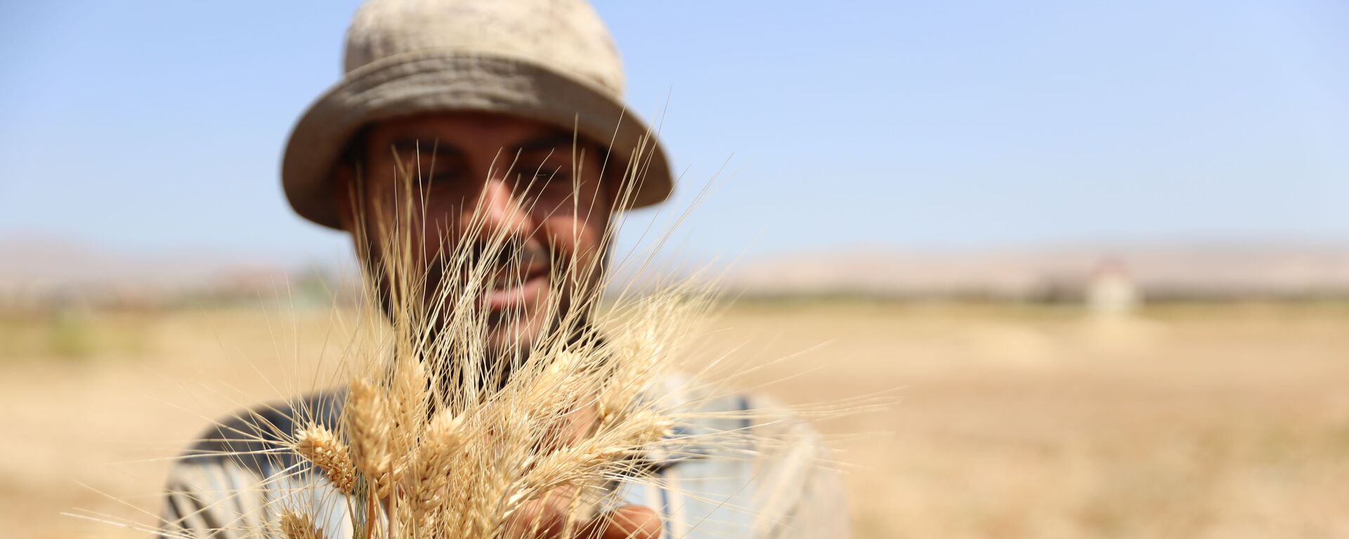 الحصاد بدأ مجددا.. هل تعود سوريا إلى تصدير القمح؟ - سبوتنيك عربي, 1920, 08.03.2022