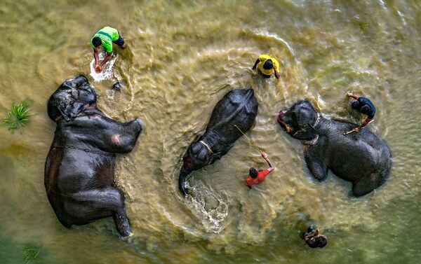 صورة حان وقت الاستحمام للمصور عبد المؤمن من بنغلاديش - سبوتنيك عربي
