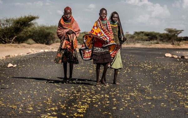 صورة طاعون الجراد في شرق إفريقيا للمصور الإسباني لويس تاتو  - سبوتنيك عربي
