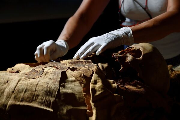 تحضيرات لنقل مومياء مصرية من متحف بيرغامو إلى مشفى ميلانو لعمل صور أشعة مقطعية، إيطاليا 21 يونيو 2021 - سبوتنيك عربي
