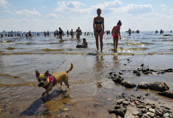 مواطنون وسياح يسبحون في مياه بحيرة اصطناعية بالقرب من حديقة 300 عام في سان بطرسبورغ، روسيا 20 يونيو 2021 - سبوتنيك عربي