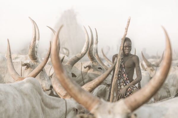 صورة بعنوان راعي الماشية منداري (جنوب السودان)، للمصور السويسري جوزيف بورغي، الفائز في فئة بورتريه بيئي، من مسابقة التصوير الدولية أفضل مصور البورتريه للعام 2021 - سبوتنيك عربي