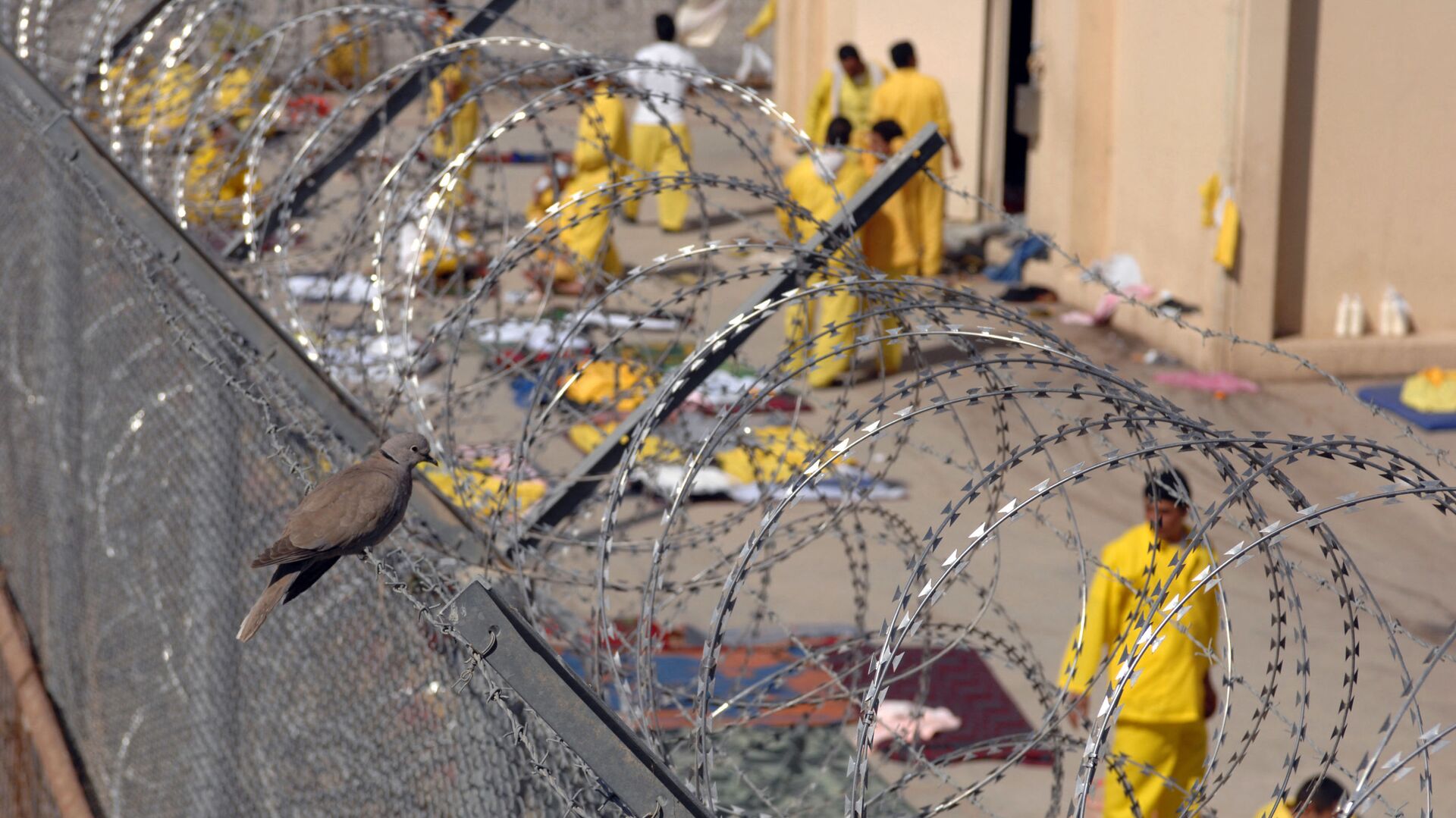 سجن أبو غريب في العراق، 2008 - سبوتنيك عربي, 1920, 25.07.2021
