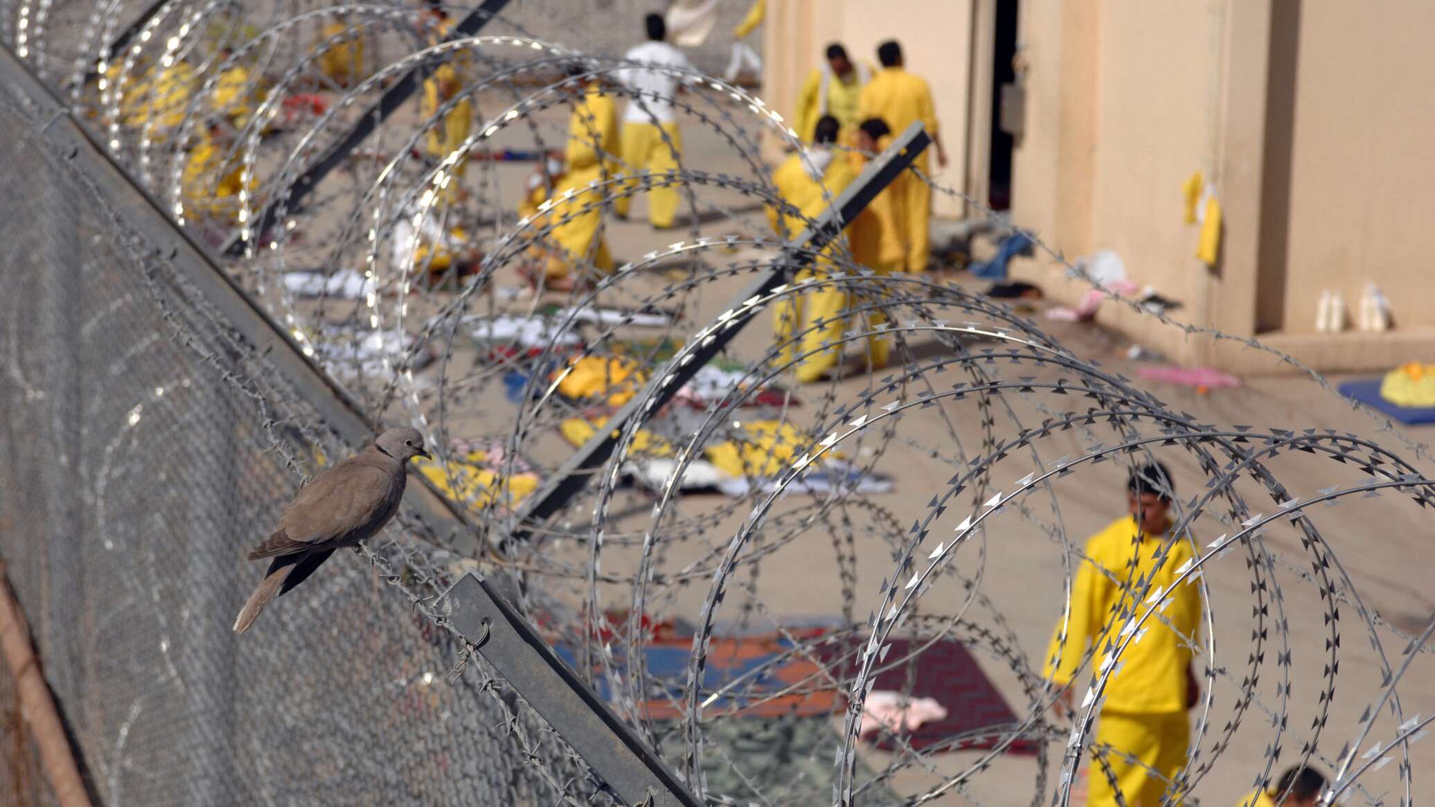 وزير العدل العراقي: 1500 نزيل عربي داخل السجون في بلادنا