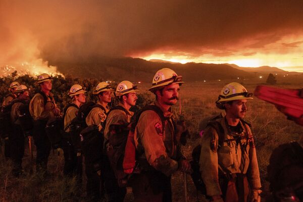 رجال إطفاء الحرائق يصلون إلى غابة بلوماس الوطنية، دويل، ولاية كاليفورنيا، الولايات المتحدة 9 يوليو 2021 - سبوتنيك عربي