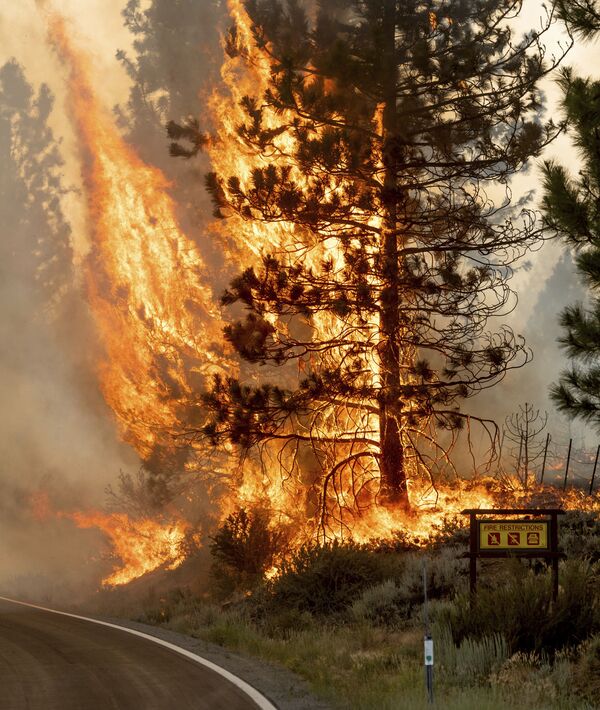مكافحة حريق شوغار فاير، جزء من حريق بيكورث كومبليكس فاير في دويل، ولاية كاليفورنيا، 9 يوليو 2021 - سبوتنيك عربي