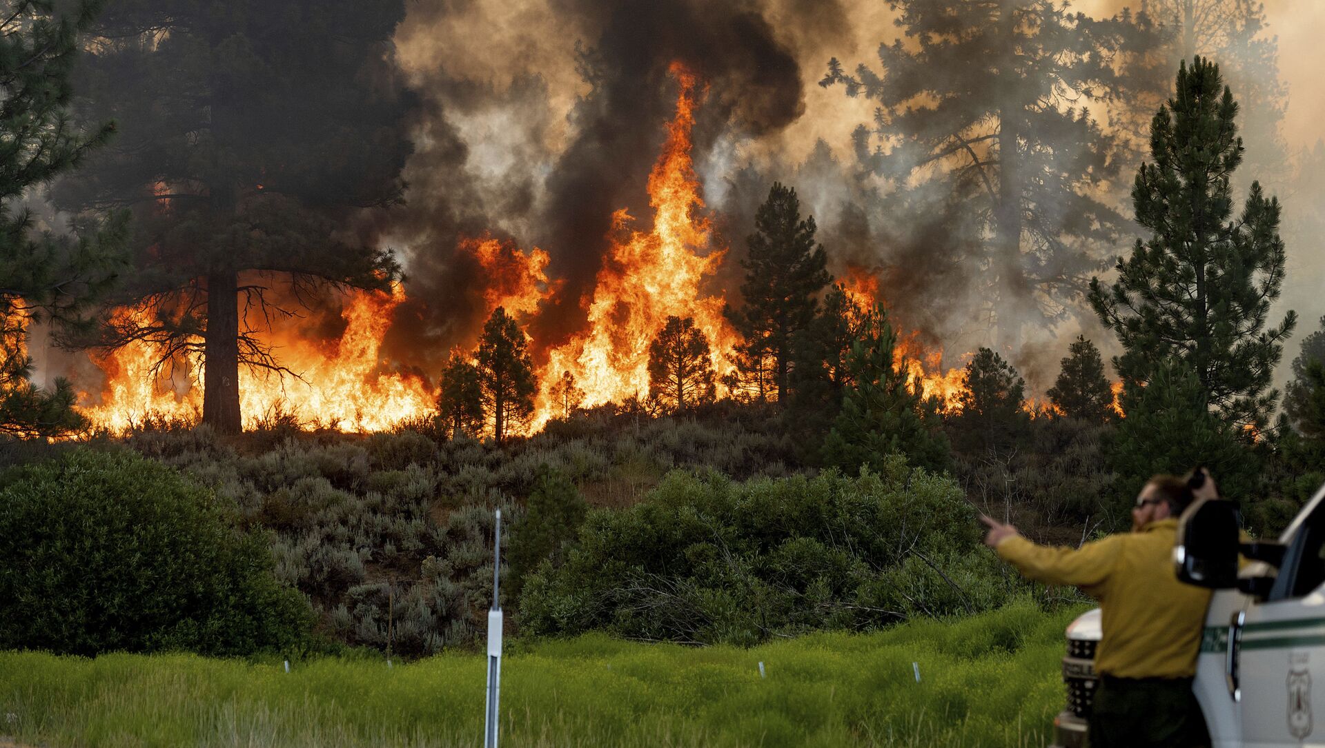 مكافحة حريق شوغار فاير، جزء من حريق بيكورث كومبليكس فاير في دويل، ولاية كاليفورنيا، 9 يوليو 2021 - سبوتنيك عربي, 1920, 25.07.2021