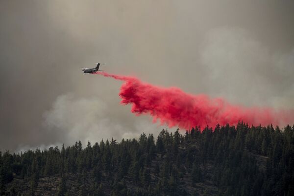 طائرة تساعد في خماد الحريق في الحديقة الطبيعية بلوماس، دويل، ولاية كاليفورنيا، الولايات المتحدة 9 يوليو 2021 - سبوتنيك عربي