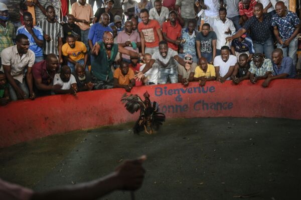 فنادي مصارعة الديوك Anbalakay kay kano في حي بوا موكيت في بورت أو برنس، هايتي، 18 يوليو 2021 - سبوتنيك عربي