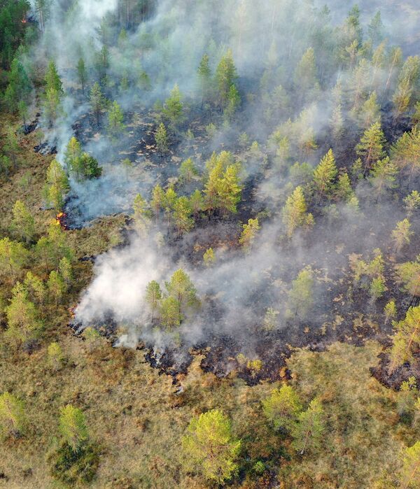 حرائق الغابات في حي سياموزير في  كاريليا، روسيا 19 يوليو 2021 - سبوتنيك عربي