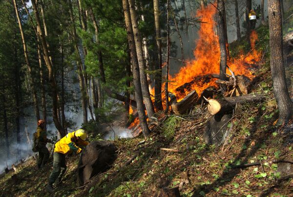 يقوم موظفو أفيا ليسو أوخرانا  لحراسة الغابات بمكافحة الحرائق لمنع انتشارها على نطاق أوسع في ياقوتيا، روسيا 12 يوليو 2021 - سبوتنيك عربي