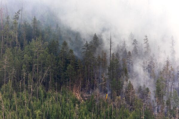 اطفاء حرائق الغابات في ياقوتيا، روسيا  7 يوليو 2021 - سبوتنيك عربي