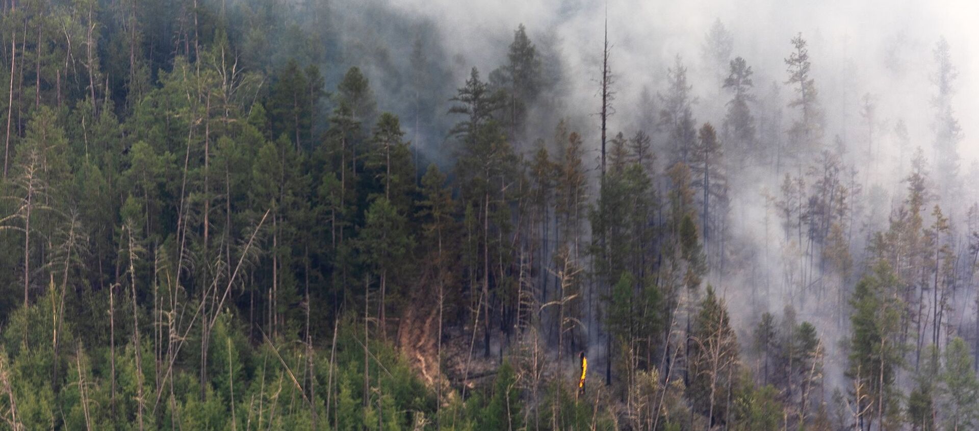 اطفاء حرائق الغابات في ياقوتيا، روسيا  7 يوليو 2021 - سبوتنيك عربي, 1920, 28.07.2021