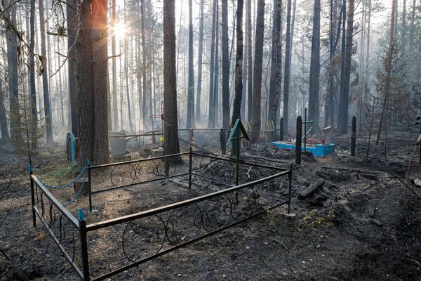 مقبرة بعد اشتعال الحريق في قرية روغا في كاريليا، روسيا 18 يوليو 2021 - سبوتنيك عربي
