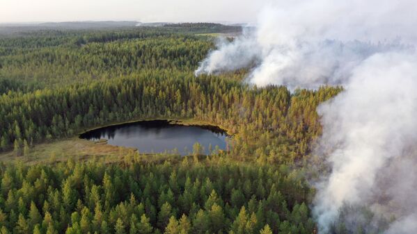حرائق الغابات في حي سياموزيرا في كاريليا، روسيا 19 يوليو 2021 - سبوتنيك عربي