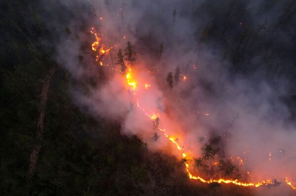 حرائق الغابات في ياقوتيا، روسيا  16 يوليو 2021 - سبوتنيك عربي