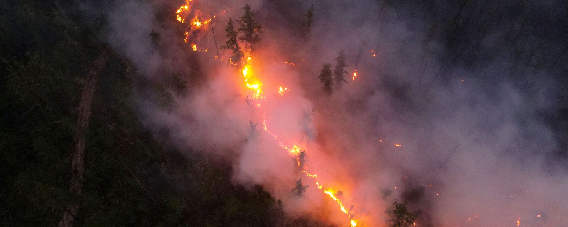 حرائق الغابات في ياقوتيا، روسيا  16 يوليو 2021 - سبوتنيك عربي, 1920, 30.07.2021