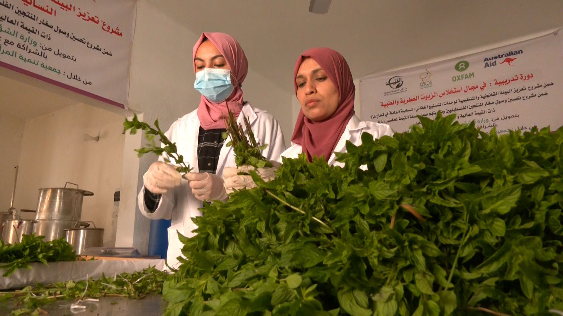 زيوت ومستحضرات تجميل باستخدام النباتات الطبيعية بأيدي فلسطينيات في غزة - سبوتنيك عربي, 1920, 28.07.2021