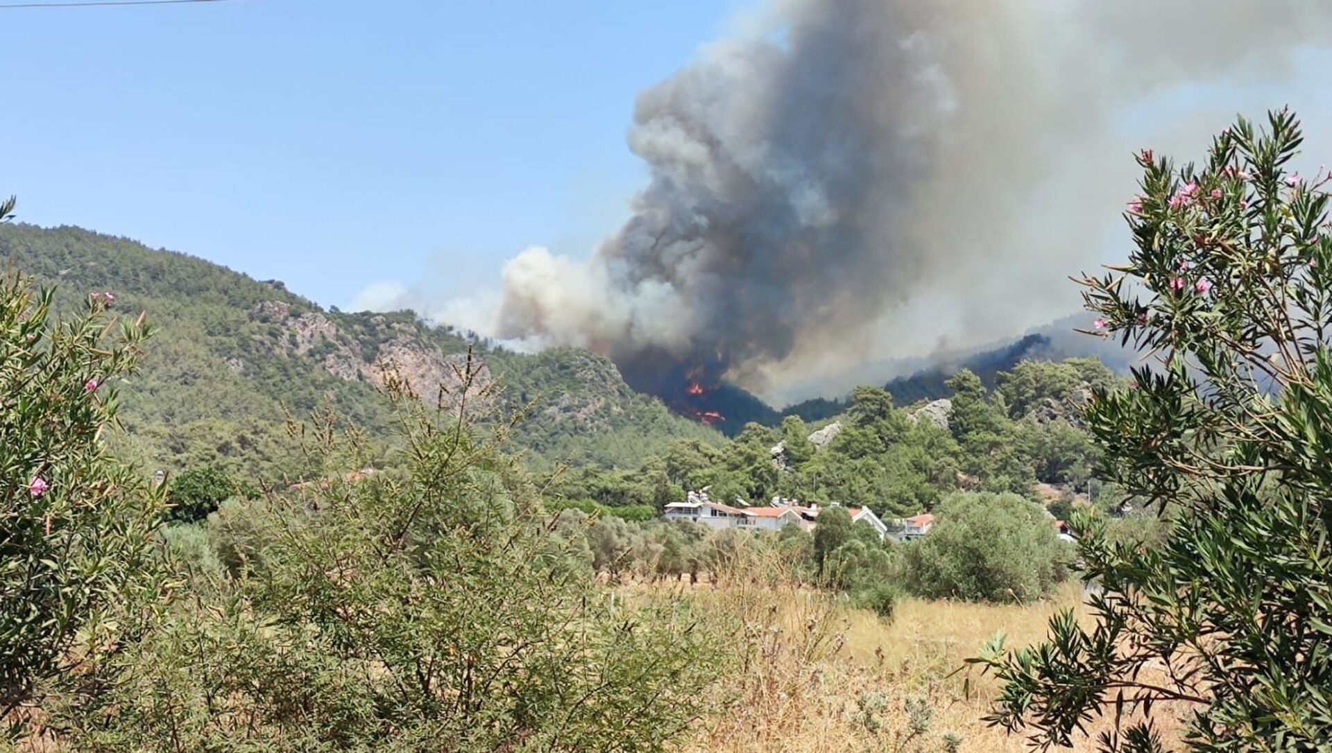 الحرائق تدمر قرية تركية بالكامل - سبوتنيك عربي, 1920, 31.07.2021