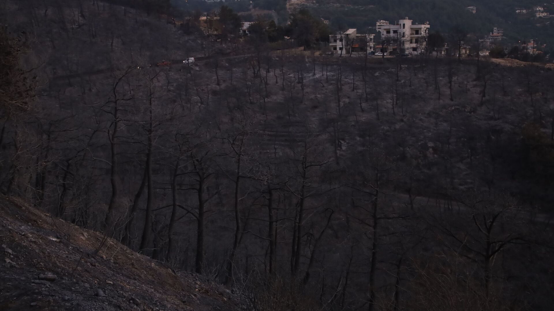 النيران تلتهم 20 مليون متر مربع من المساحات الخضراء شمالي لبنان - سبوتنيك عربي, 1920, 31.07.2021
