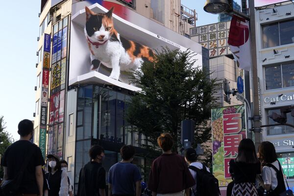 أشخاص يمشون بجوار عرض إعلان فيديو ثلاثي الأبعاد لقطط عملاق تم تركيبه مؤخرًا في منطقة التسوق الشهيرة شينجوكو في طوكيو، اليابان 1 أغسطس 2021. - سبوتنيك عربي