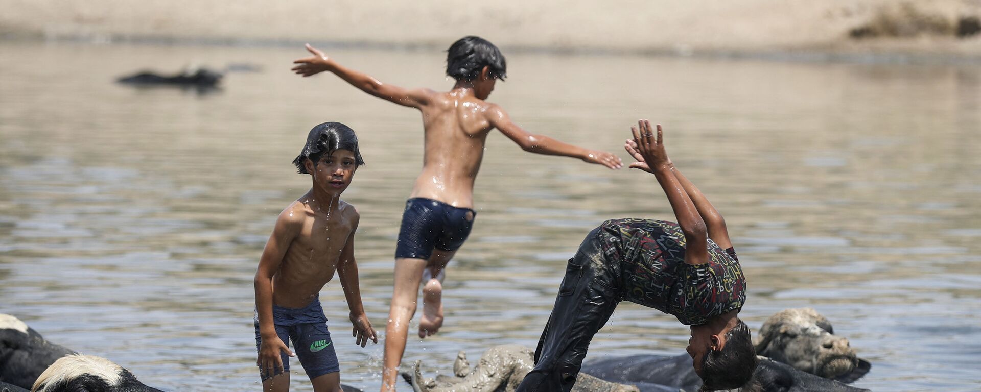 أولاد عراقيون يسبحون مع قطيع من الجواميس في نهر ديالى في منطقة الفضلية شمال شرق بغداد في 2 أغسطس 2021، وسط درجات حرارة صيفية شديدة الارتفاع. - سبوتنيك عربي, 1920, 10.08.2022