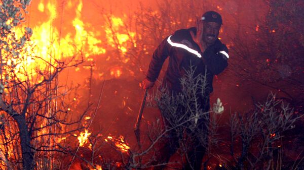 حرائق الغابات في الجزائر - سبوتنيك عربي