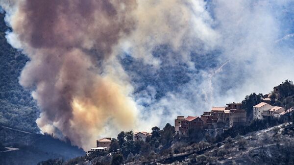 حرائق الغابات في الجزائر - سبوتنيك عربي