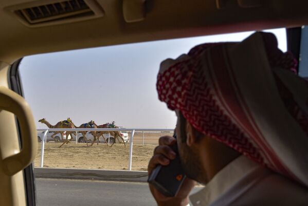 سباق الهجن في السعودية - سبوتنيك عربي