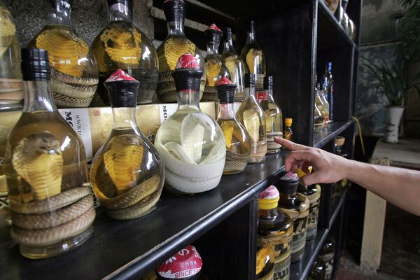 زجاجات من نبيذ الثعبان في مطعم في ضواحي مدينة هانوي، فيتنام - سبوتنيك عربي
