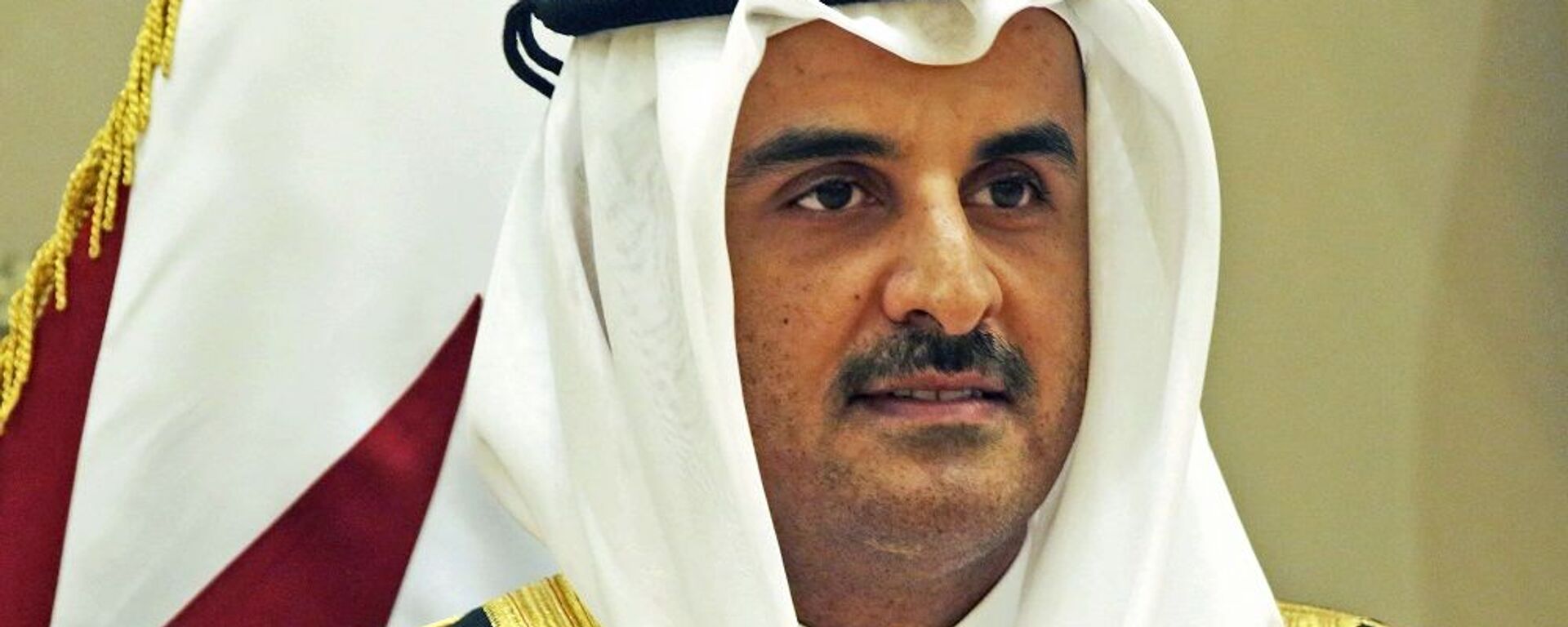 أمير قطر، الشيخ تميم بن حمد آل ثاني - سبوتنيك عربي, 1920, 09.08.2022