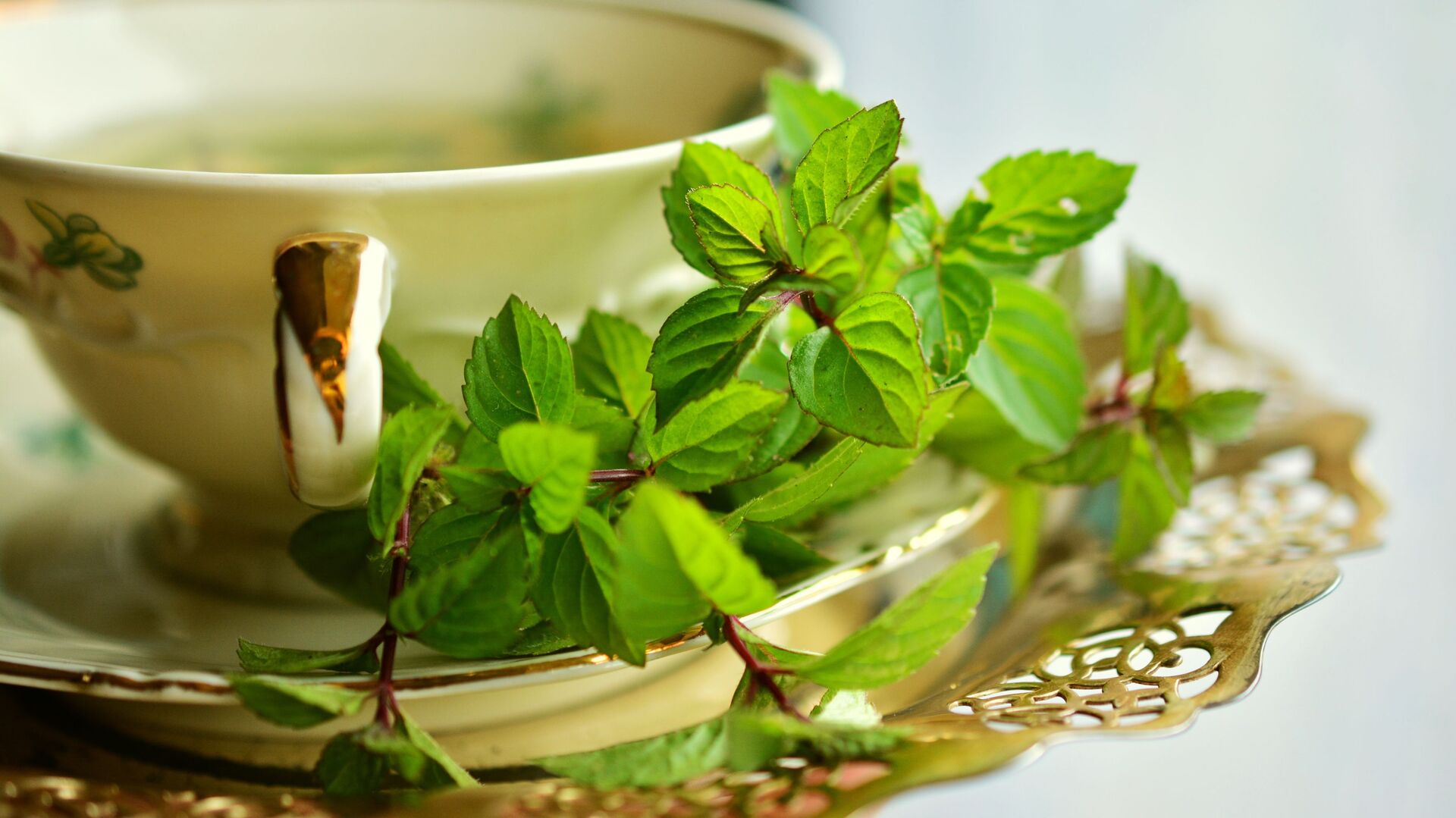 مشروب الشاي الأخضر مع النعناع  - سبوتنيك عربي, 1920, 20.11.2021