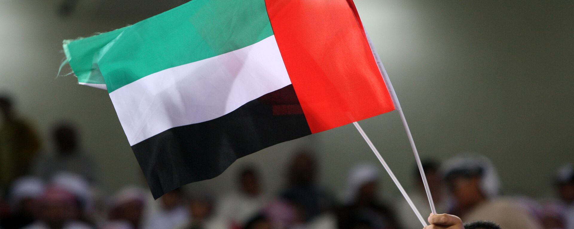 علم دولة الإمارات العربية المتحدة - سبوتنيك عربي, 1920, 02.07.2022