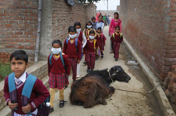 تلاميذ مدارس في قرية في كانوج، الهند، 14 مارس 2020 - سبوتنيك عربي