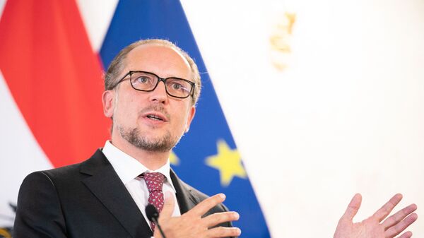  وزير الخارجية النمساوي، ألكسندر شالينبرغ - سبوتنيك عربي