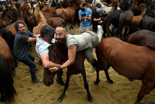 يصارع Aloitadors الخيول البرية خلال حدث قص شعر الحيوانات التقليدي في مدينة سابوسيدو، إسبانيا 29 أغسطس 2021 - سبوتنيك عربي