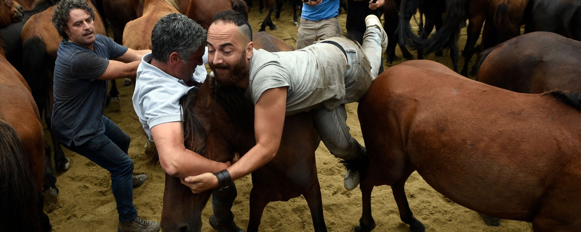 يصارع Aloitadors الخيول البرية خلال حدث قص شعر الحيوانات التقليدي في مدينة سابوسيدو، إسبانيا 29 أغسطس 2021 - سبوتنيك عربي, 1920, 27.10.2023