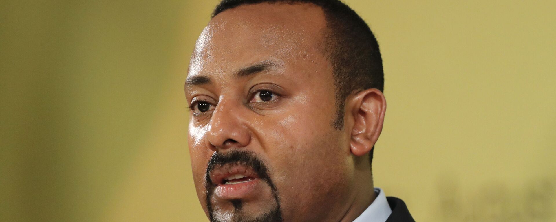 رئيس الوزراء الإثيوبي، آبي أحمد - سبوتنيك عربي, 1920, 09.11.2021