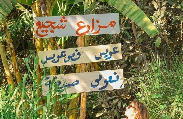 رحالة مصري يطلق مبادرة لـسياحة المانجو  - سبوتنيك عربي